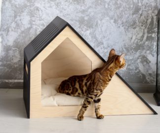 Modern pet house Hamm