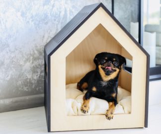 Dog and cat house PetSo